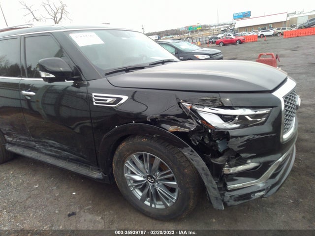 2023 Infiniti QX80, VIN: JN8AZ2AE6P9302256