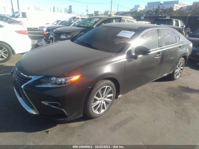 JTHBW1GG7J2186639 Lexus Es Es 300h