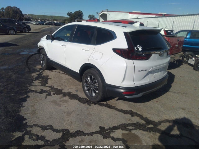 Honda Cr-v Ex-l 2020 5J6RW2H87LA004762 Image 4