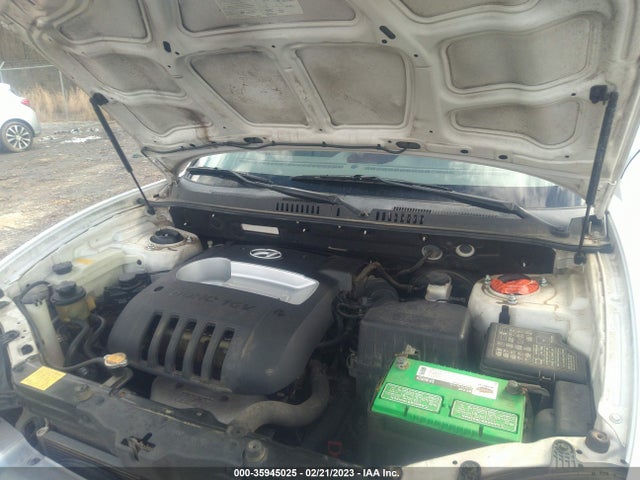 2004 HYUNDAI SANTA FE VIN: KM8SB12B84U684765