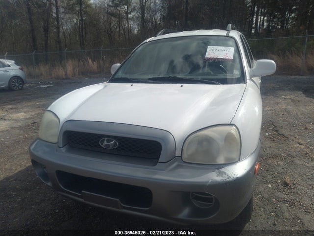 2004 HYUNDAI SANTA FE VIN: KM8SB12B84U684765