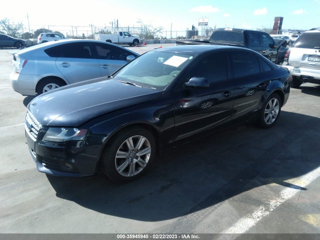 WAUAFAFL7AN030611 Audi A4 2.0t Premium