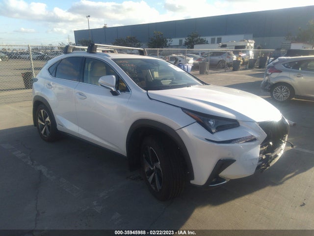 2020 Lexus NX, VIN: JTJGJRDZ7L5010196