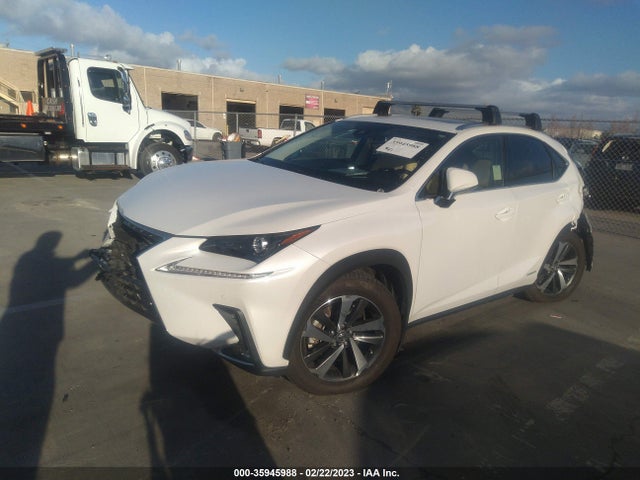 2020 Lexus NX, VIN: JTJGJRDZ7L5010196