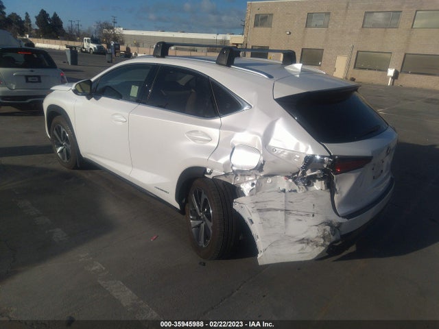 2020 Lexus NX, VIN: JTJGJRDZ7L5010196