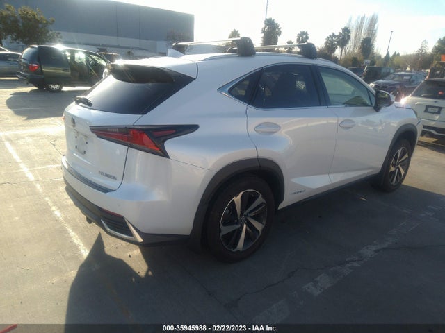 2020 Lexus NX, VIN: JTJGJRDZ7L5010196