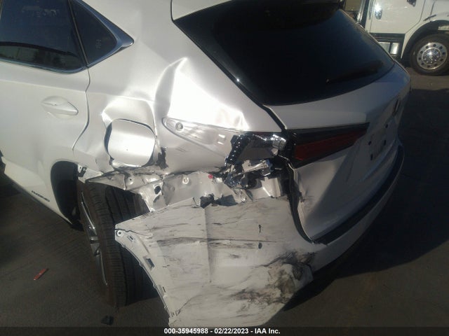 2020 Lexus NX, VIN: JTJGJRDZ7L5010196