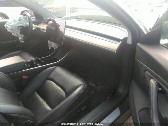 Tesla Model 3 Long Range/performance 2019 5YJ3E1EB0KF205496 Image 5