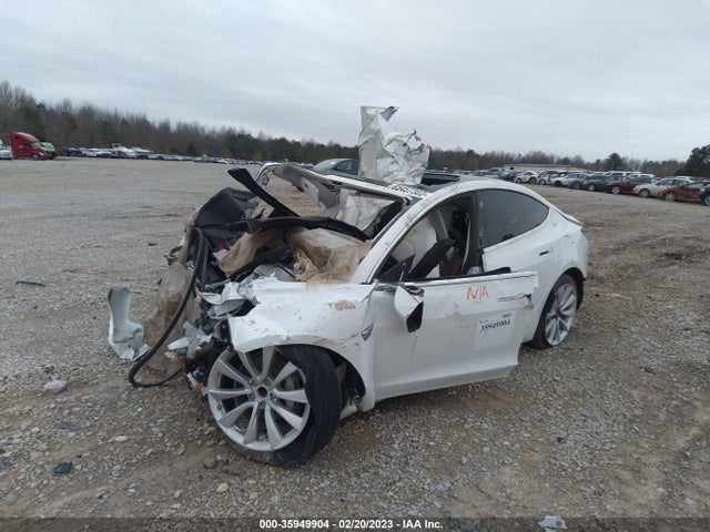 Tesla Model 3 Range 2019 5YJ3E1EA4KF447814 Image 2