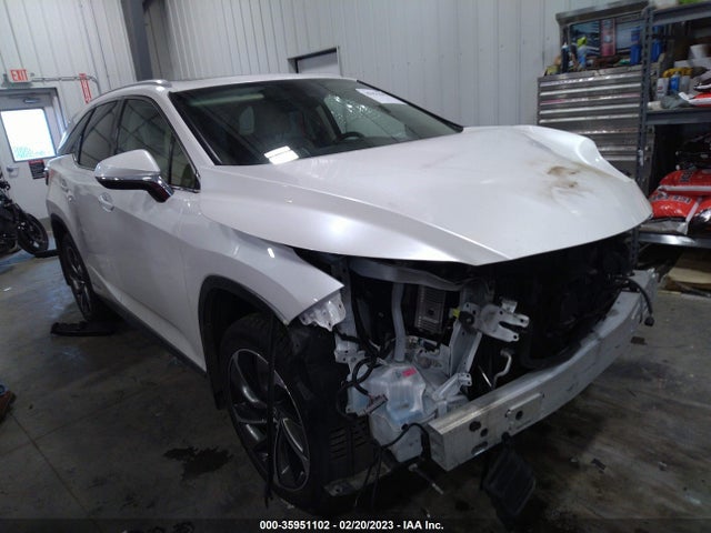2019 Lexus RX, VIN: JTJDGKCA6K2008217