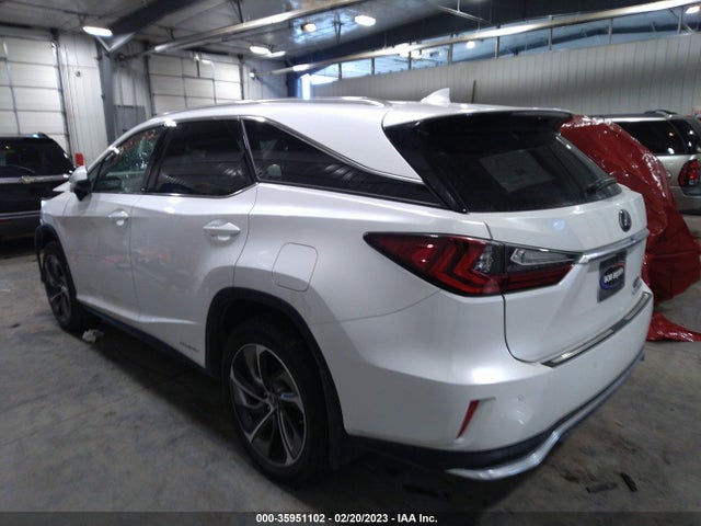 2019 Lexus RX, VIN: JTJDGKCA6K2008217