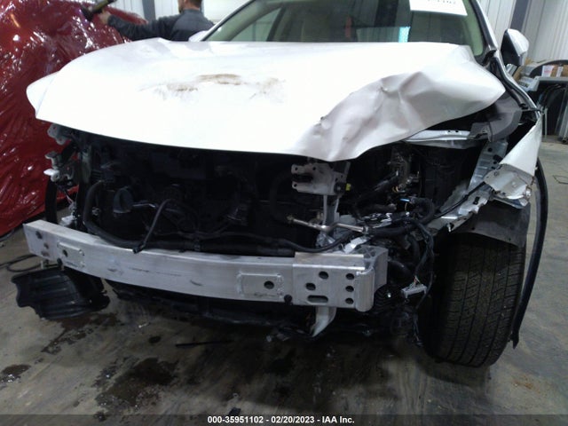 2019 Lexus RX, VIN: JTJDGKCA6K2008217