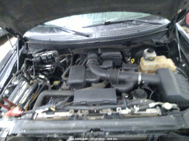 2009 FORD F-150 XL/XLT/FX4/LARIAT VIN: 1FTPW14V69FB22641