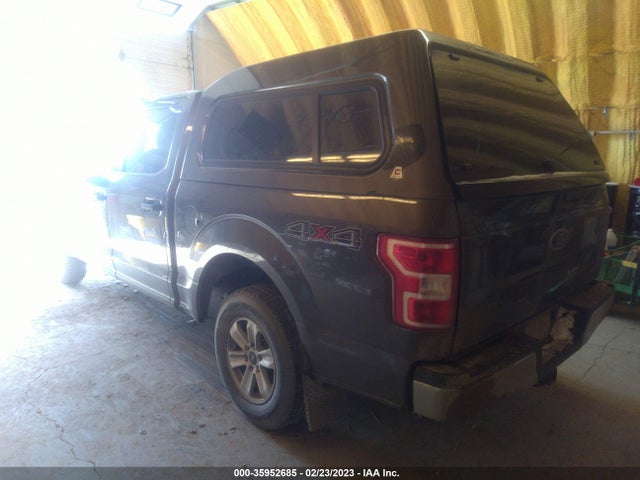 2019 FORD F-150 XL/XLT VIN: 1FTEW1EB7KKC55563