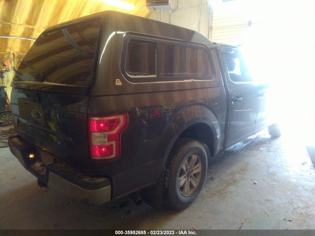 2019 FORD F-150 XL/XLT VIN: 1FTEW1EB7KKC55563
