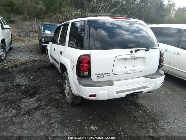 Chevrolet Trailblazer Ls 2005 1GNDS13S252121324 Image 4