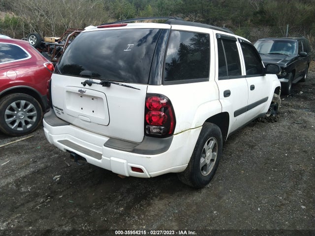 Chevrolet Trailblazer Ls 2005 1GNDS13S252121324 Image 5