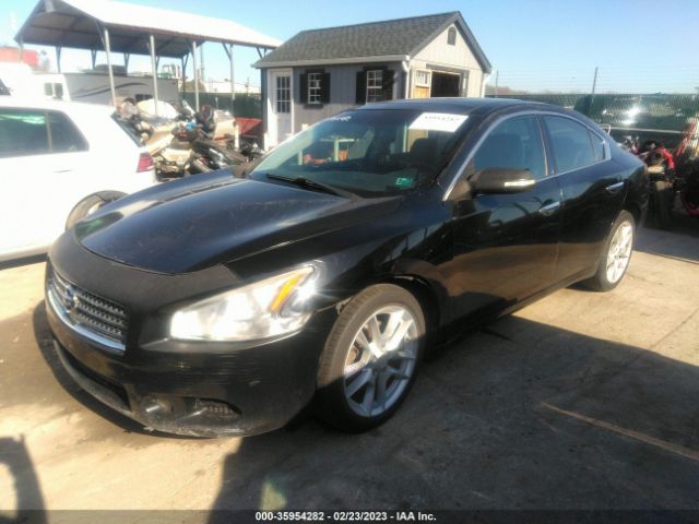 1N4AA5AP3AC860636 Nissan Maxima 3.5 Sv W/premium Pkg