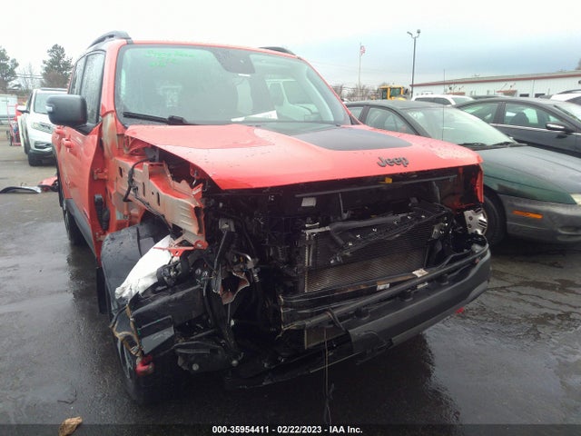 ZACNJBC11KPJ90291 Jeep Renegade Trailhawk