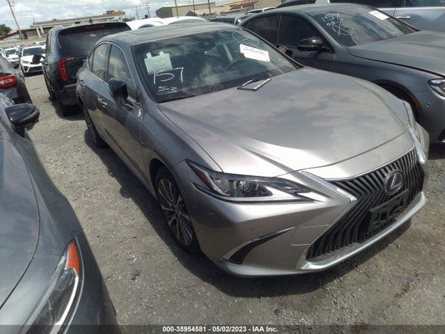 2019 Lexus ES, VIN: JTHB21B17K2012702