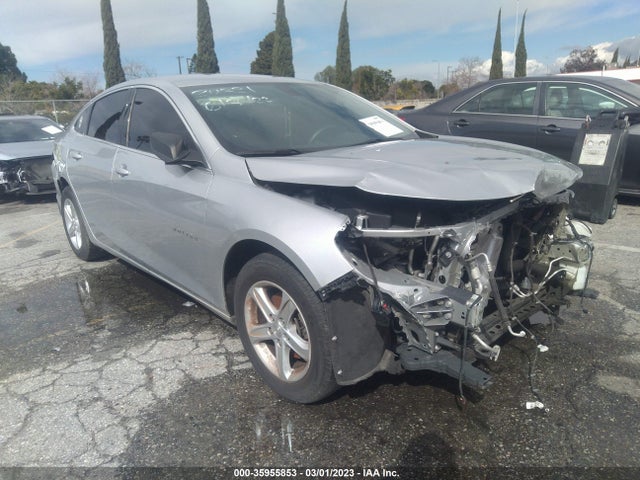 2019 1G1ZB5ST4KF207215 main image
