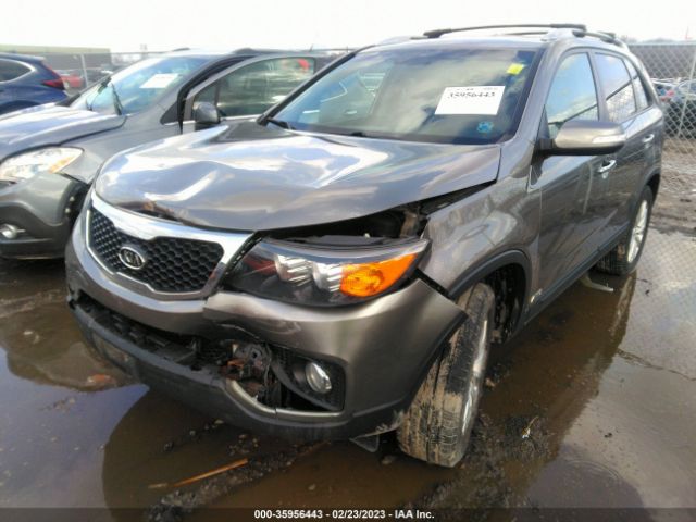 5XYKTDA28BG172104 KIA SORENTO LX