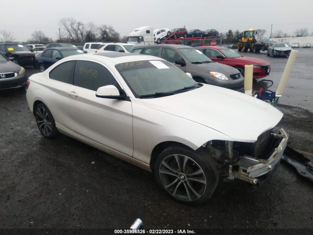 2017 BMW 2 Series, VIN: WBA2F9C31HV664787