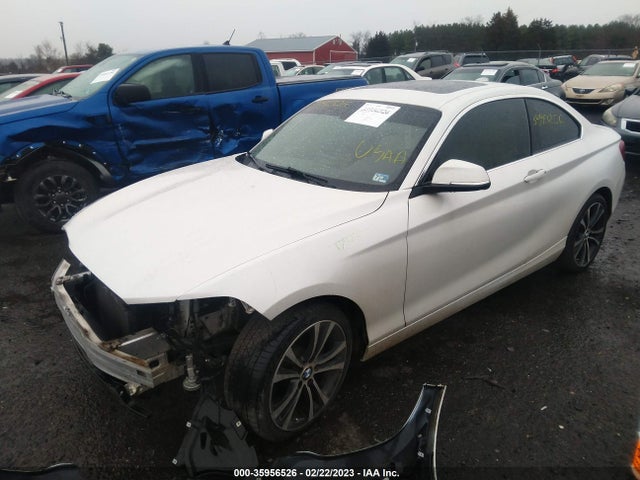 2017 BMW 2 Series, VIN: WBA2F9C31HV664787