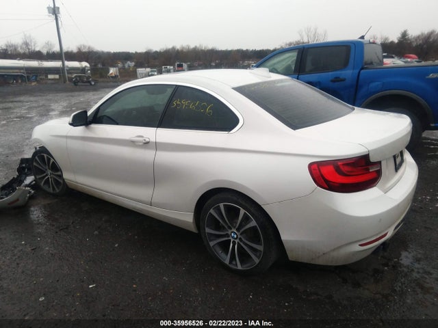2017 BMW 2 Series, VIN: WBA2F9C31HV664787
