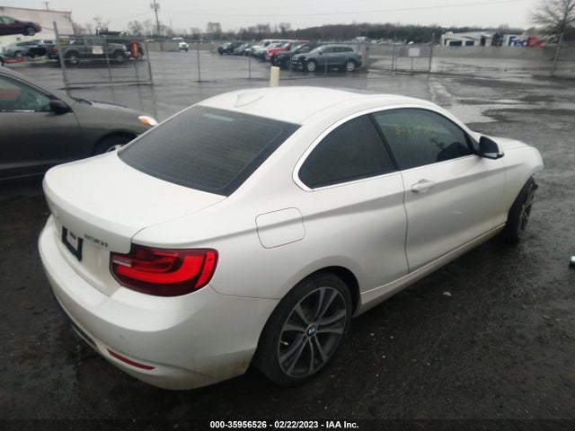 2017 BMW 2 Series, VIN: WBA2F9C31HV664787