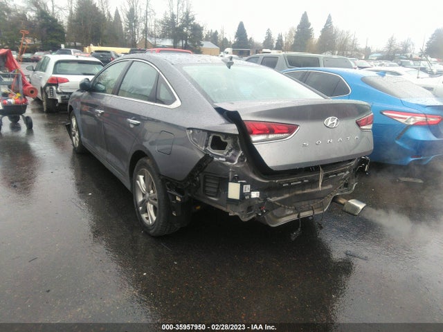 Hyundai SONATA SEL 2019 5NPE34AF0KH747417 Image 3