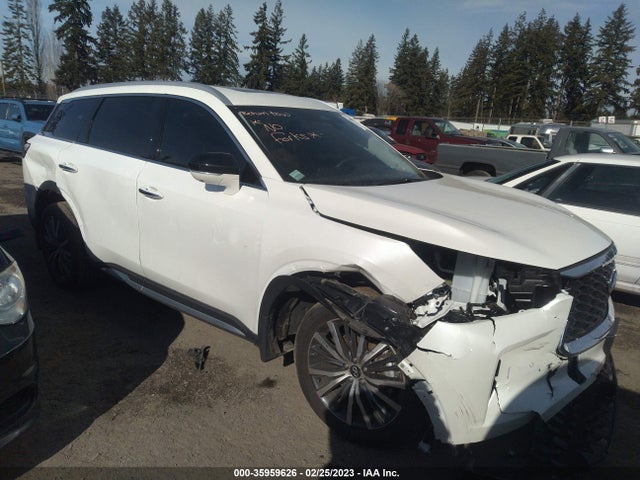 2023 Infiniti QX60, VIN: 5N1DL1GSXPC345644