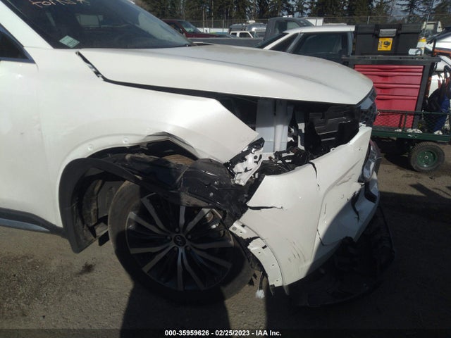 2023 Infiniti QX60, VIN: 5N1DL1GSXPC345644