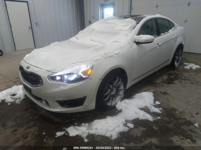 KNALN4D74E5163853 KIA Cadenza Limited