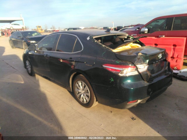 2019 Toyota Camry, VIN: 4T1B31HK2KU007504