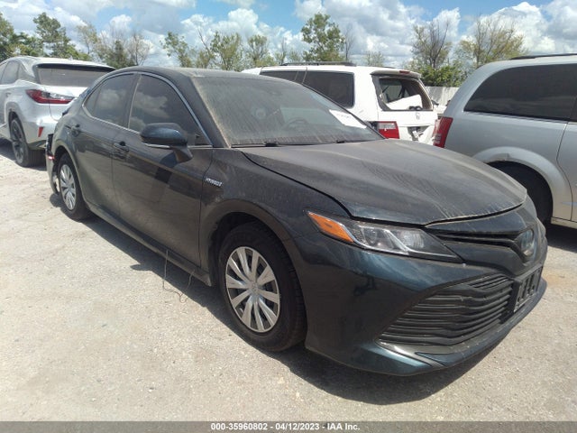 2019 Toyota Camry, VIN: 4T1B31HK2KU007504