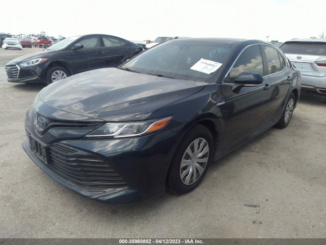 2019 Toyota Camry, VIN: 4T1B31HK2KU007504