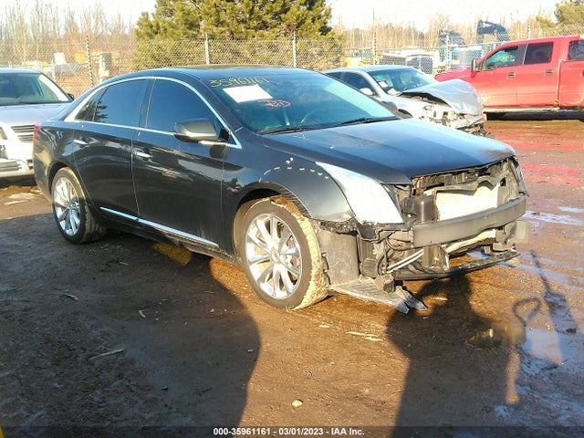 2013 2G61R5S31D9102842 zdjęcie główne