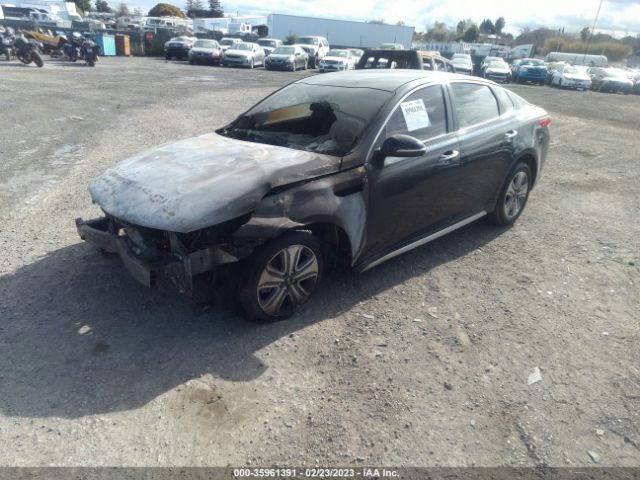 KNAGU4LE3J5022660 KIA Optima Hybrid Ex