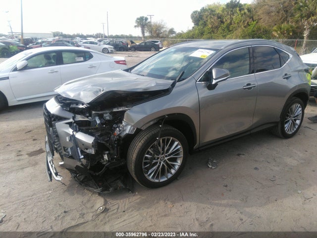 2022 Lexus NX, VIN: 2T2GKCEZ1NC005704