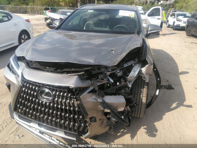 2022 Lexus NX, VIN: 2T2GKCEZ1NC005704