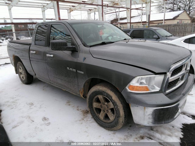 Dodge Ram 1500 Slt 2010 1D7RV1GT8AS133602 главное изображение
