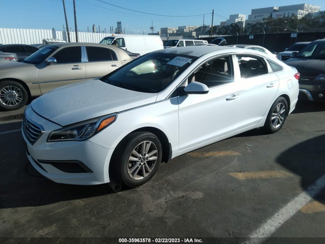 Hyundai Sonata 2.4l Se 2016 5NPE24AF8GH397903 Image 2
