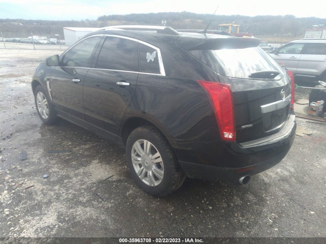 Cadillac Srx Luxury Collection 2010 3GYFNAEY8AS624004 Image 4