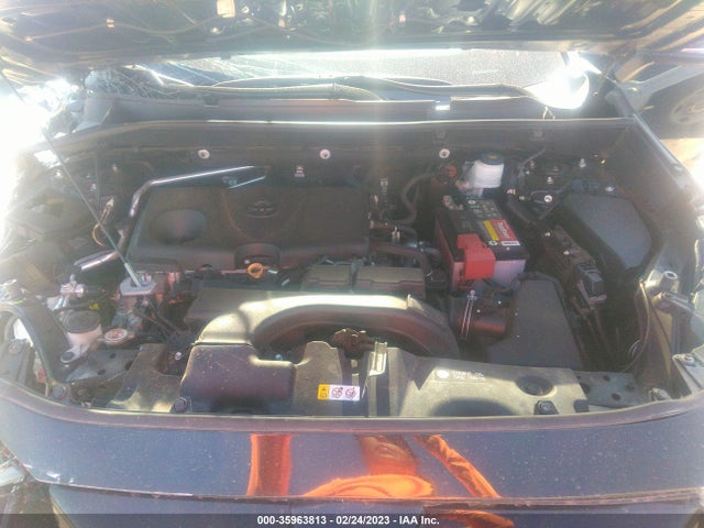 2019 TOYOTA RAV4 XLE VIN: 2T3W1RFV4KC017379