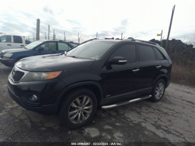 5XYKUDA15BG005705 KIA SORENTO EX