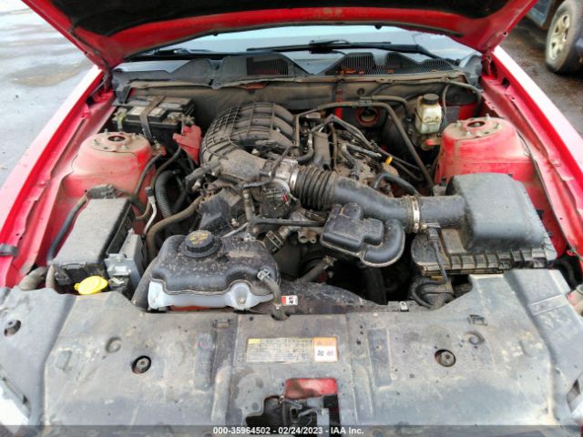 Ford Mustang V6 2014 1ZVBP8AM3E5275521 Image 11