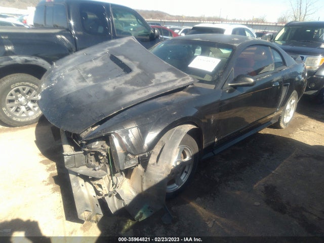 2000 FORD MUSTANG VIN: 1FAFP4045YF172247