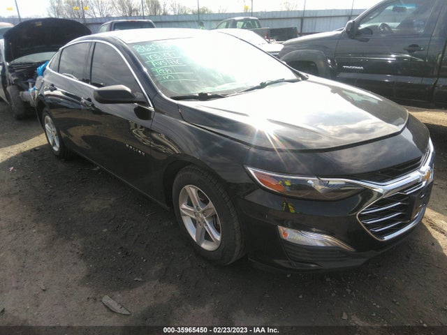 2019 1G1ZC5ST6KF210565 main image