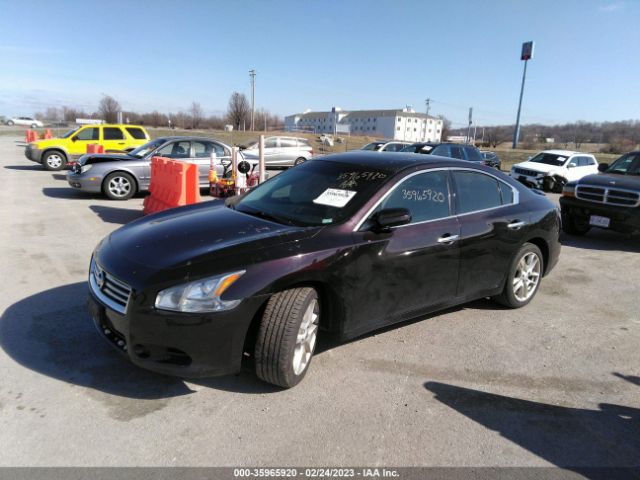 1N4AA5AP2EC456037 Nissan MAXIMA 3.5